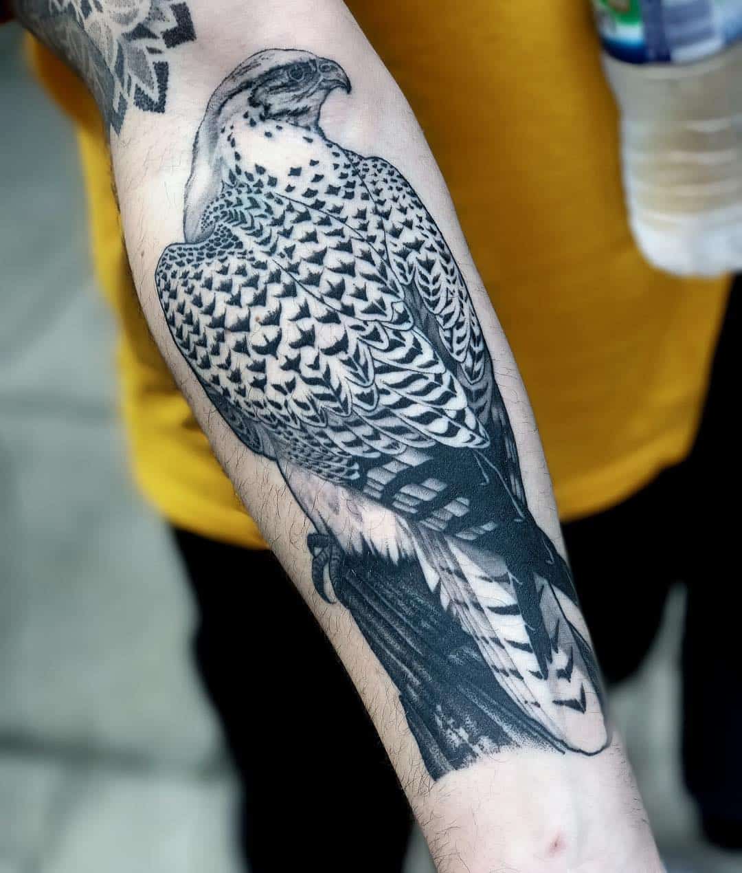 tatuaggio falco