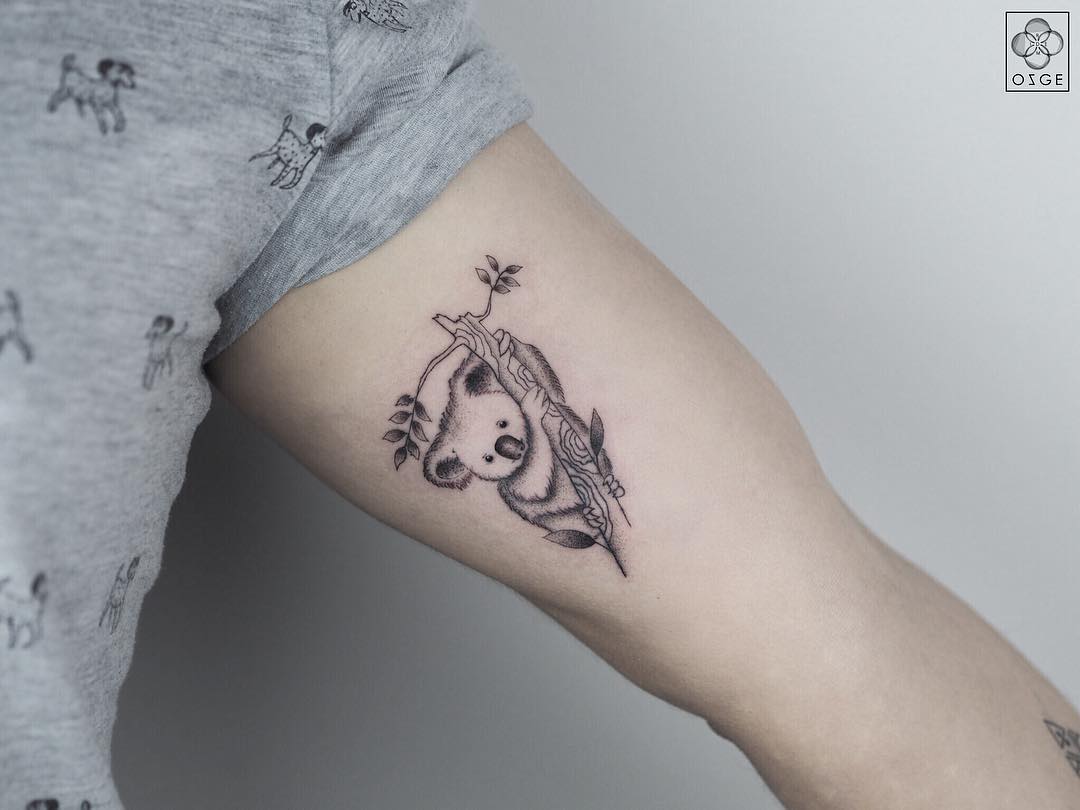tatuaggio koala