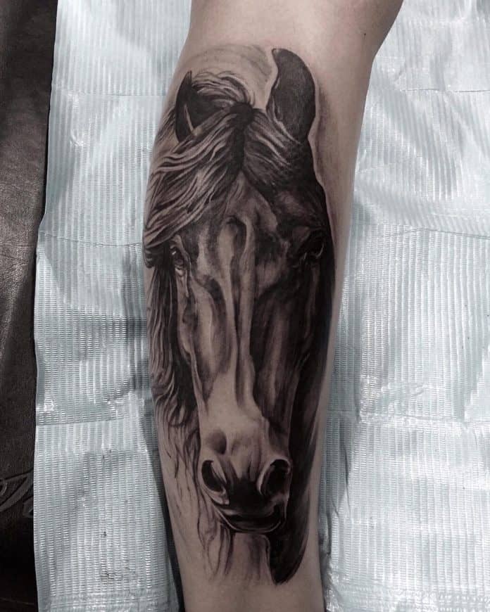 Tatuaggio cavallo by @y_f_shu