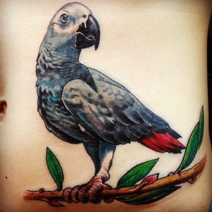 pappagallo blu tattoo
