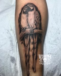 pappagallo tattoo