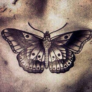 tattoo-farfalle-in-bianco-e-nero-by-@andreharossi
