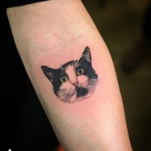 Tattoo gatto by @harpoletattoo