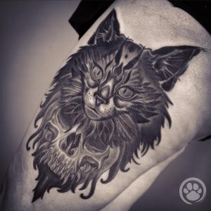 tattoo gatto by @tanuki_tatto0