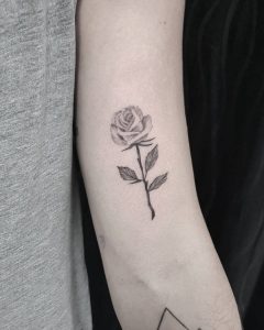 rosa tattoo by @minataur.tattoo